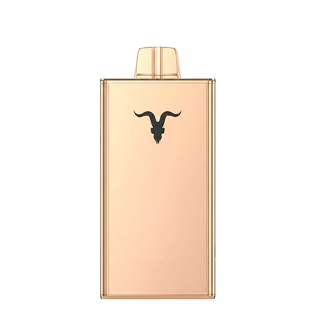 IGNITE V250 25000 Puffs Rechargeable Disposable Vape UAE