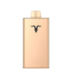 IGNITE V250 25000 Puffs Rechargeable Disposable Vape UAE