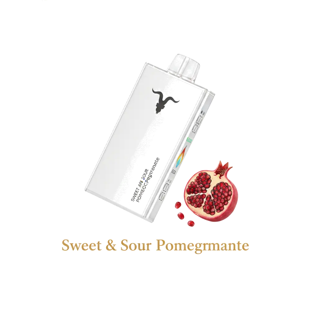 IGNITE V250 25000 Puffs Rechargeable Disposable Vape UAE