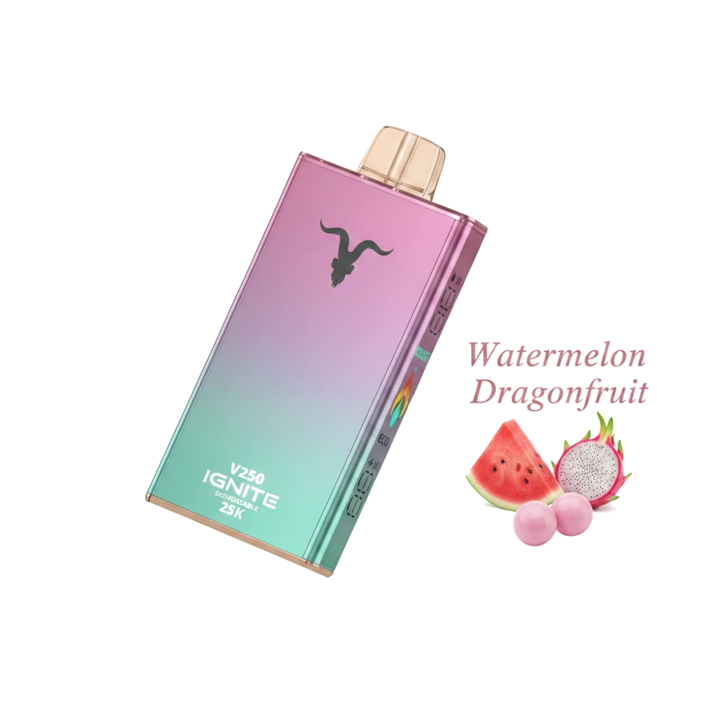 IGNITE V250 25000 Puffs Rechargeable Disposable Vape UAE