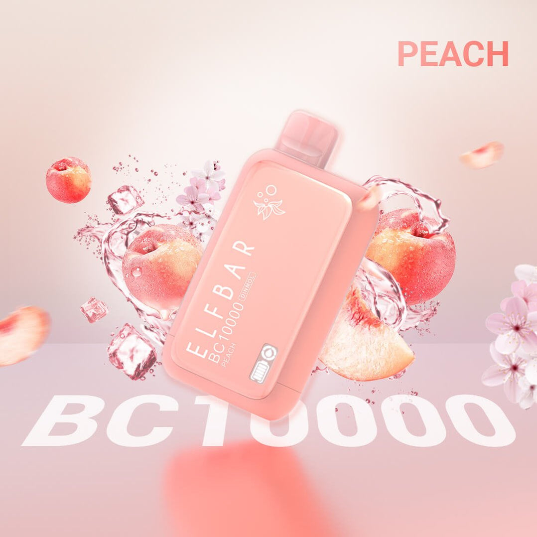 Elfbar BC10000 Puffs 20mg Disposable Vape UAE