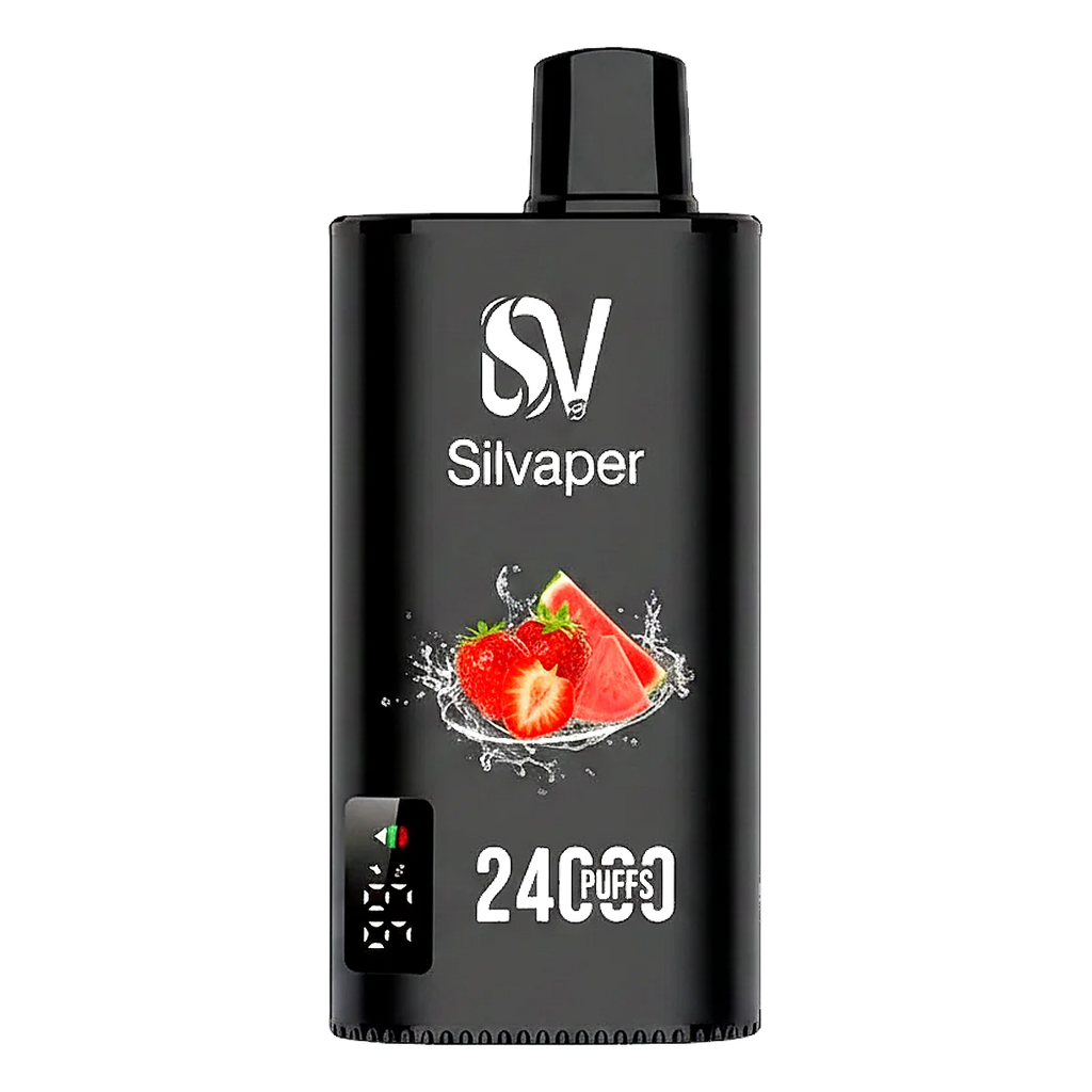 Silvaper 24000 Puffs Disposable Vape In UAE