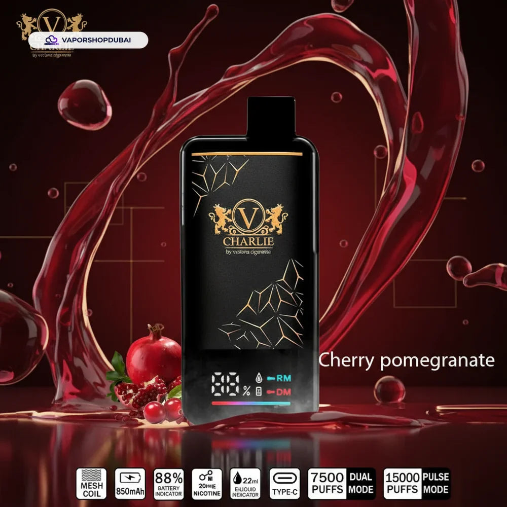 Buy Emirates Vapor Vicig Charlie Disposable Vape 15000 Puffs Dubai same-day delivery