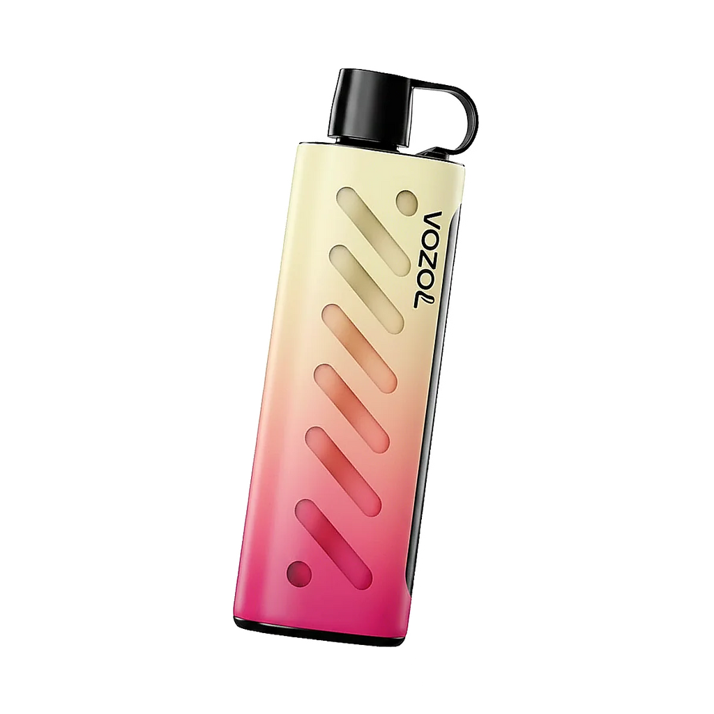 Vozol Gear Shisha 25000 Puffs Disposable Vape In UAE