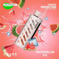VOZOL Gear Shisha 25000 Puffs Disposable Vape watermelon-ice UAE | Emirates Vapor