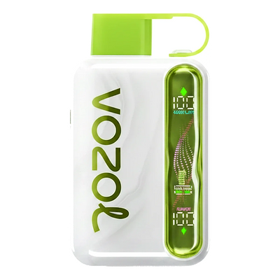 VOZOL Star 40000 Puffs Disposable Vape UAE