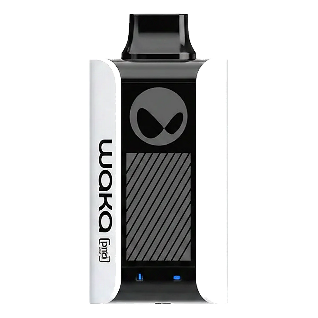 Buy WAKA WAKA SoPro PA10000 Puffs 50MG Rechargeable vape Dubai same-day delivery