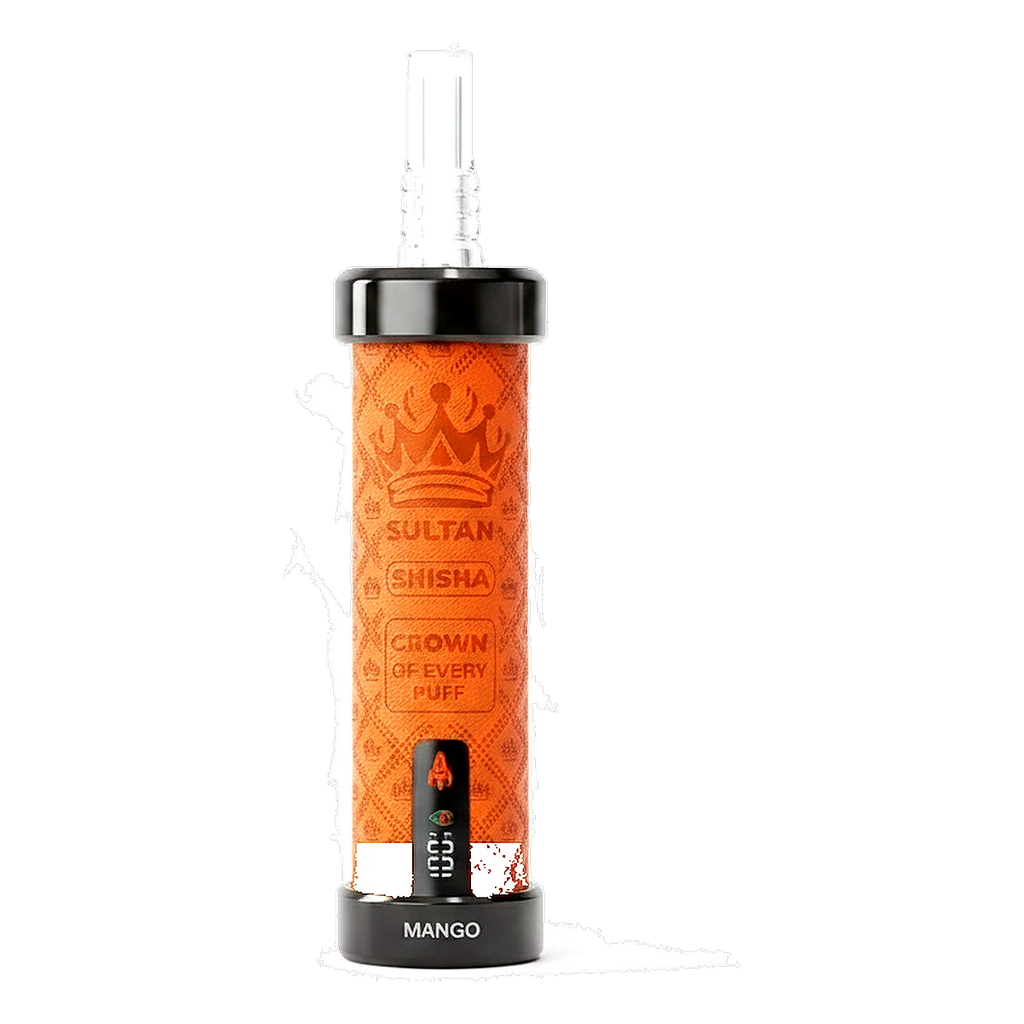 XTRA SULTAN 100K Puffs DTL Shisha 2mg Disposable Vape in the UAE  UAE